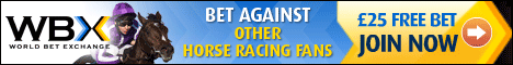 WBX Mobile Banner Horses